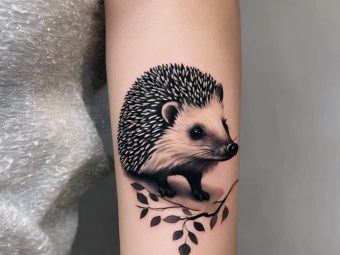 8 Cute Hedgehog Tattoo Ideas For you